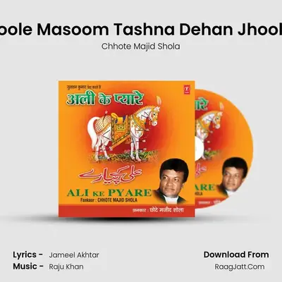 Jhoole Masoom Tashna Dehan Jhoolna MP3 Song by Chhote Majid Shola Cover