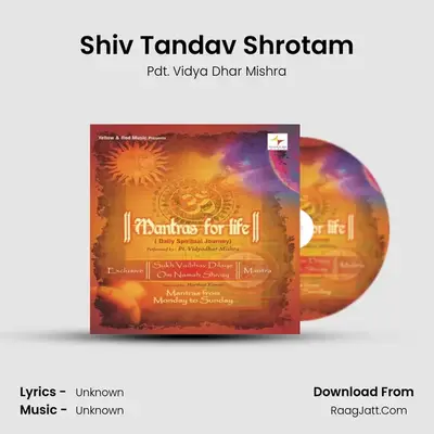 Shiv Tandav Shrotam Cover