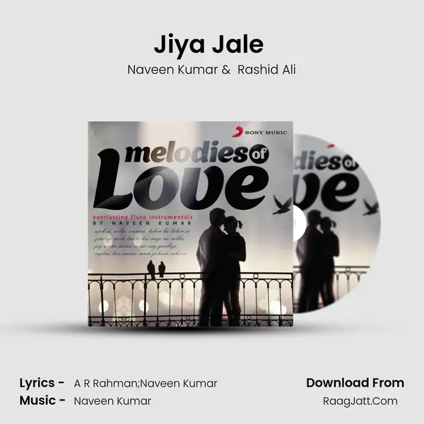 Jiya Jale (Instrumental) MP3 Song by Naveen Kumar Cover