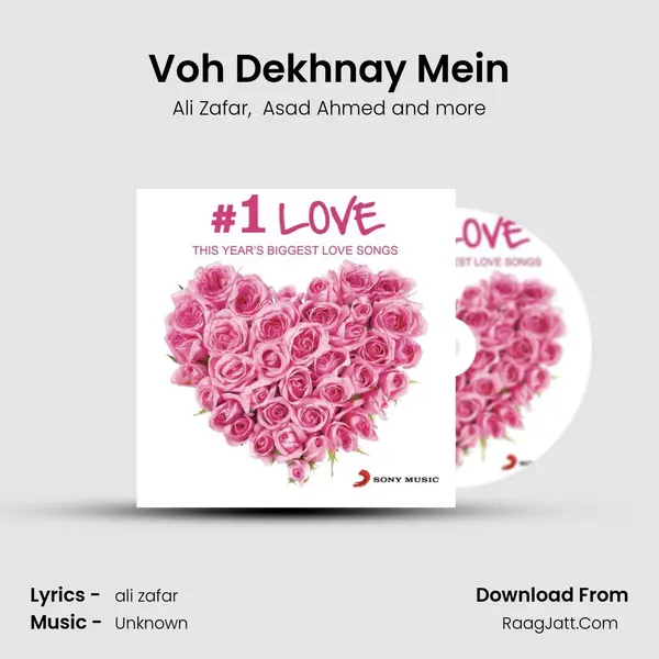 Voh Dekhnay Mein MP3 Song by Ali Zafar Cover