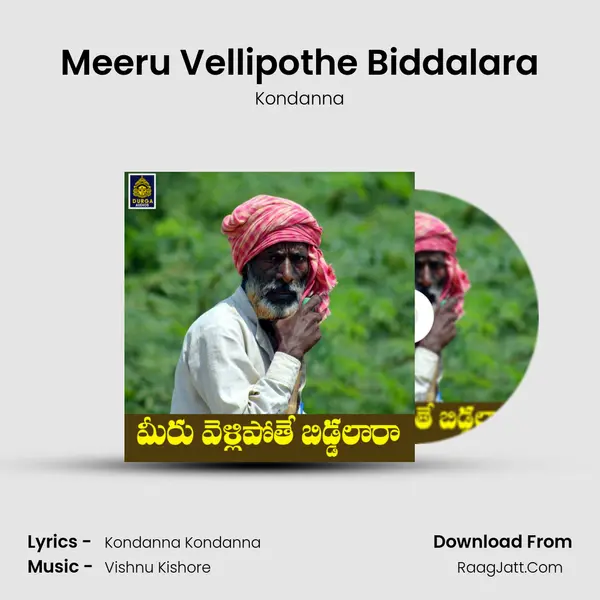 Meeru Vellipothe Biddalara mp3 song