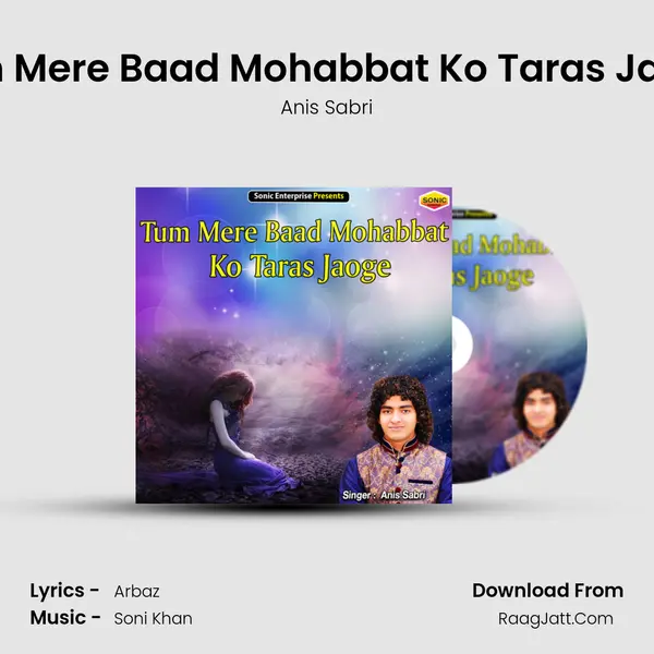 Tum Mere Baad Mohabbat Ko Taras Jaoge - Anis Sabri