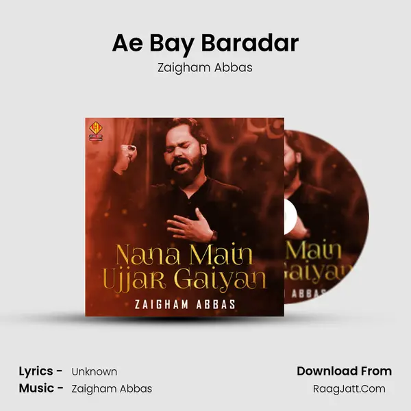 Ae Bay Baradar mp3 song