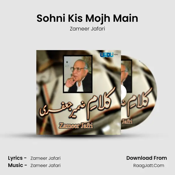 Sohni Kis Mojh Main MP3 Song by Zameer Jafari Cover