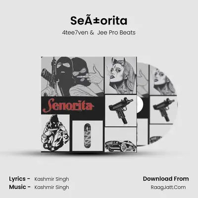 Señorita Cover