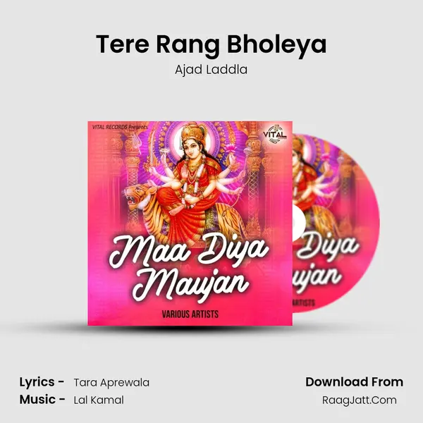 Tere Rang Bholeya mp3 song