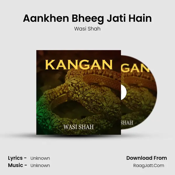 Aankhen Bheeg Jati Hain MP3 Song by Wasi Shah Cover