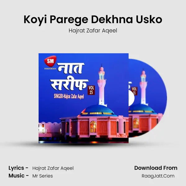 Koyi Parege Dekhna Usko MP3 Song by Hajrat Zafar Aqeel Cover