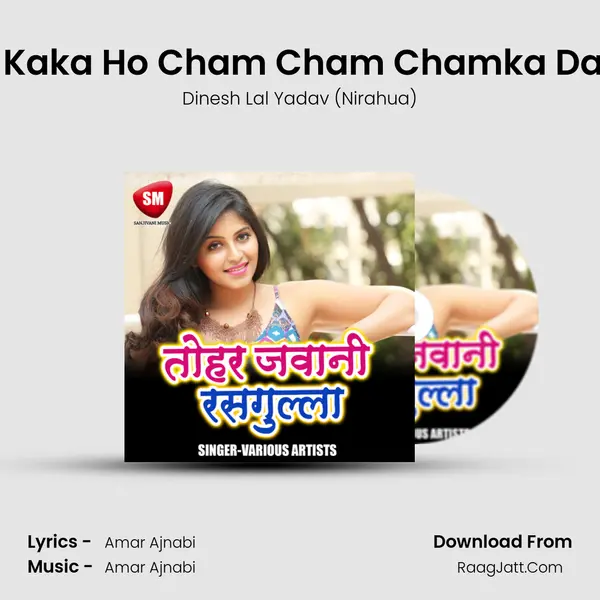 Nitish Kaka Ho Cham Cham Chamka Da Bihar MP3 Song by Dinesh Lal Yadav (Nirahua) Cover