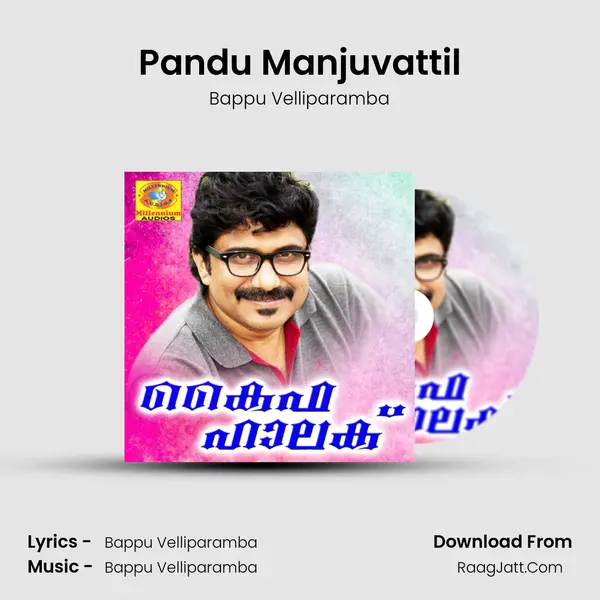 Pandu Manjuvattil MP3 Song by Bappu Velliparamba Cover