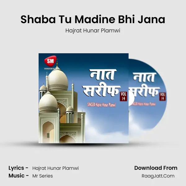 Shaba Tu Madine Bhi Jana MP3 Song by Hajrat Hunar Plamwi Cover