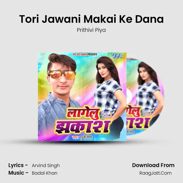 Tori Jawani Makai Ke Dana MP3 Song by Prithivi Piya Cover