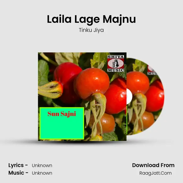 Laila Lage Majnu MP3 Song by Tinku Jiya Cover