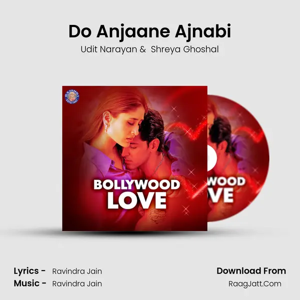 Do Anjaane Ajnabi Cover