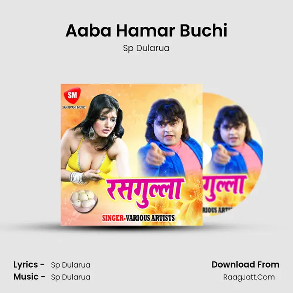 Aaba Hamar Buchi MP3 Song by Sp Dularua Cover