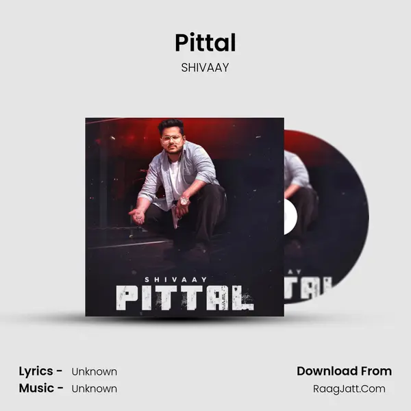 Pittal MP3 Song by SHIVAAY Cover