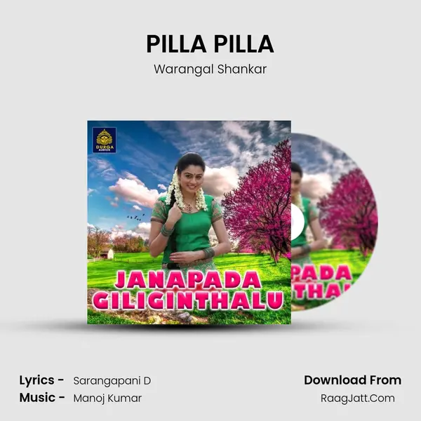 PILLA PILLA MP3 Song by Warangal Shankar Cover