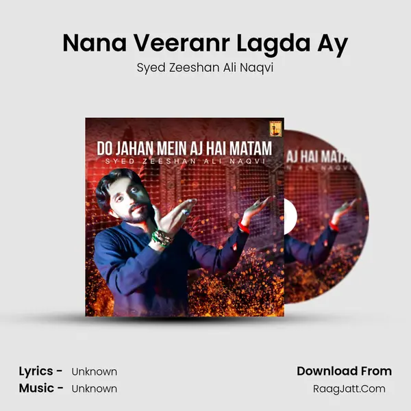 Nana Veeranr Lagda Ay MP3 Song by Syed Zeeshan Ali Naqvi Cover