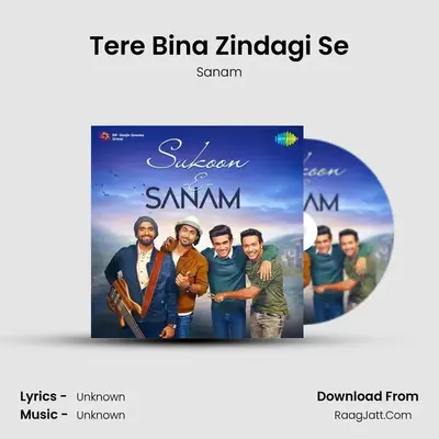 Tere Bina Zindagi Se Cover