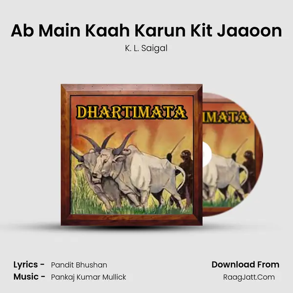 Ab Main Kaah Karun Kit Jaaoon Cover