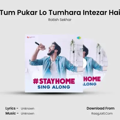 Tum Pukar Lo Tumhara Intezar Hai Cover