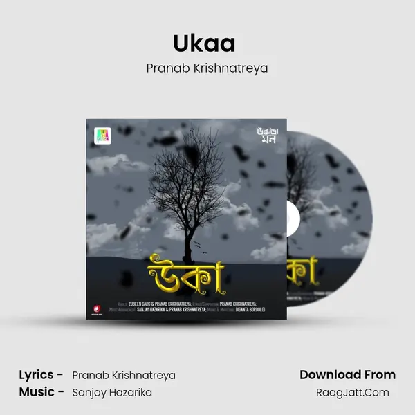 Ukaa (Pranab Krishnatreya Version) MP3 Song by Pranab Krishnatreya Cover