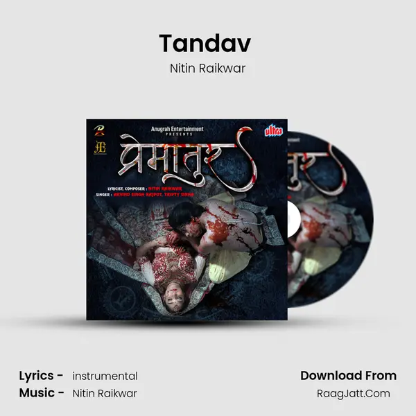 Tandav (Only Music) MP3 Song by Nitin Raikwar Cover