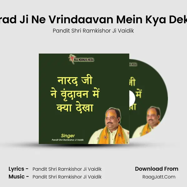 Narad Ji Ne Vrindaavan Mein Kya Dekha Cover