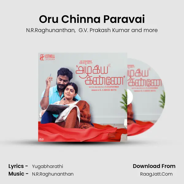Oru Chinna Paravai MP3 Song by N.R.Raghunanthan Cover
