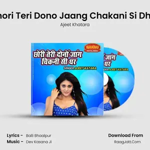 Chori Teri Dono Jaang Chakani Si Dhar Cover