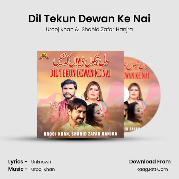 Dil Tekun Dewan Ke Nai MP3 Song by Urooj Khan Cover