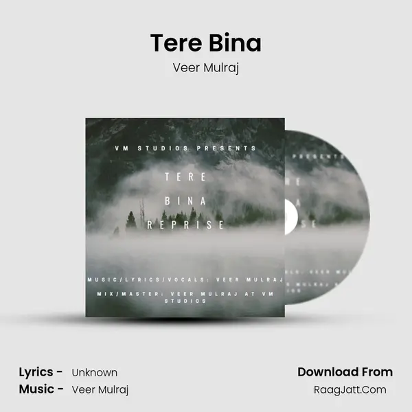 Tere Bina mp3 song