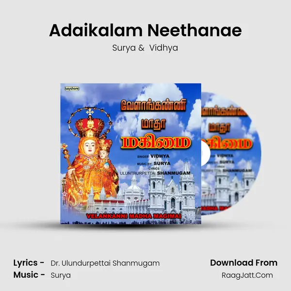 Adaikalam Neethanae MP3 Song by Surya Cover