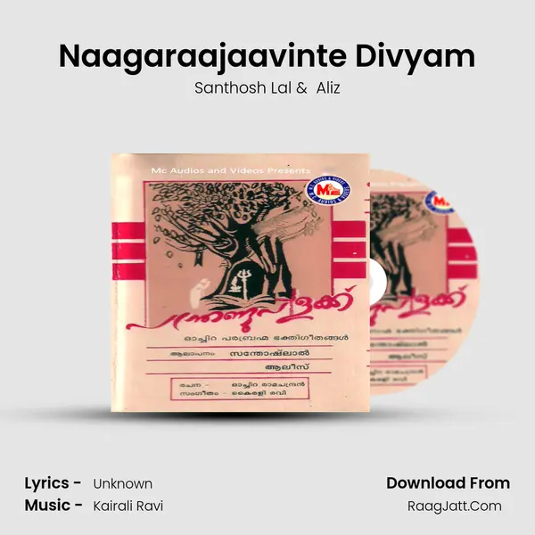 Naagaraajaavinte Divyam mp3 song