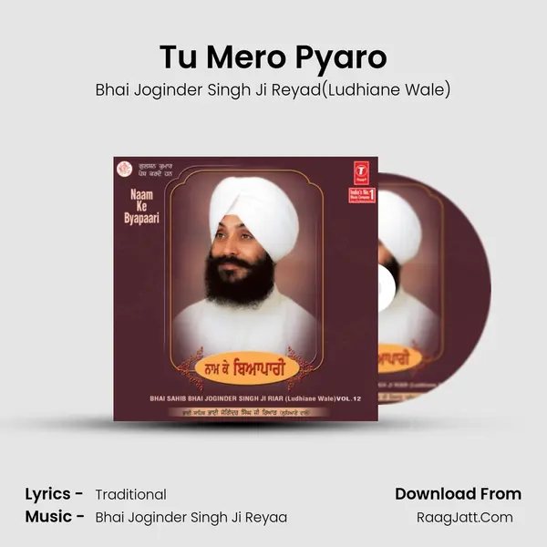 Tu Mero Pyaro mp3 song