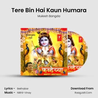 Tere Bin Hai Kaun Humara mp3 song