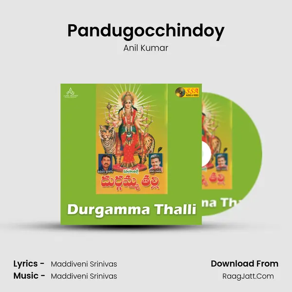 Pandugocchindoy MP3 Song by Anil Kumar Cover
