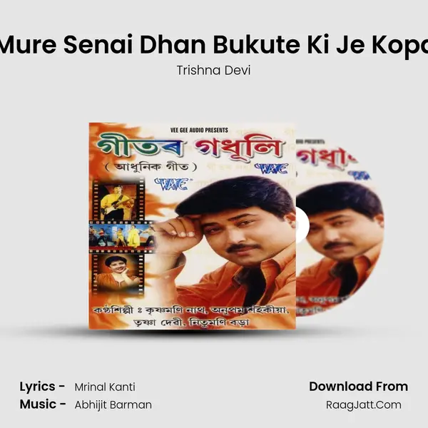 O Mure Senai Dhan Bukute Ki Je Kopani MP3 Song by Trishna Devi Cover