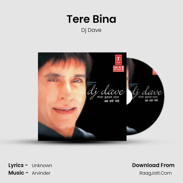 Tere Bina MP3 Song by Dj Dave Cover