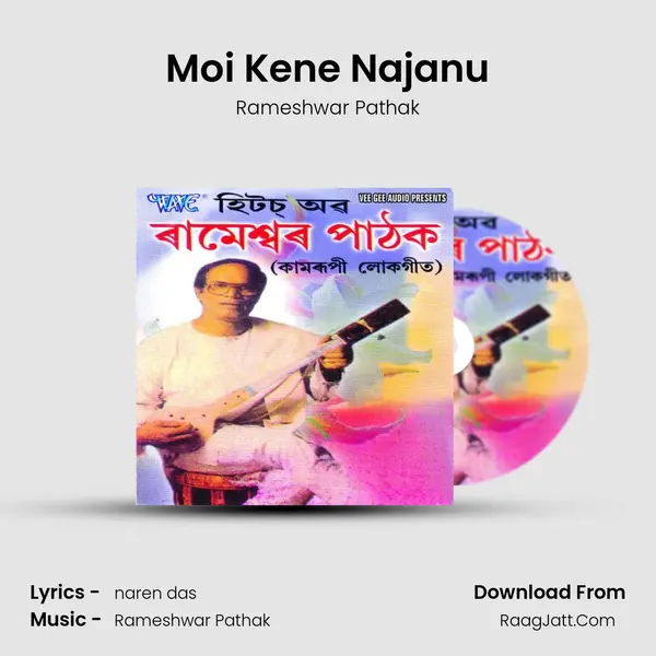 Moi Kene Najanu MP3 Song by Rameshwar Pathak Cover