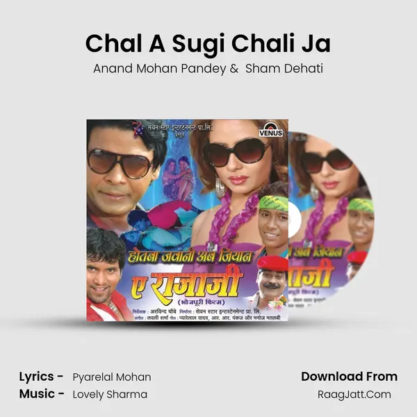 Chal A Sugi Chali Ja MP3 Song by Anand Mohan Pandey Cover