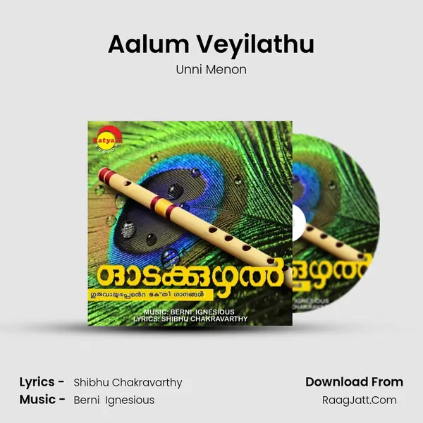 Aalum Veyilathu MP3 Song by Unni Menon Cover