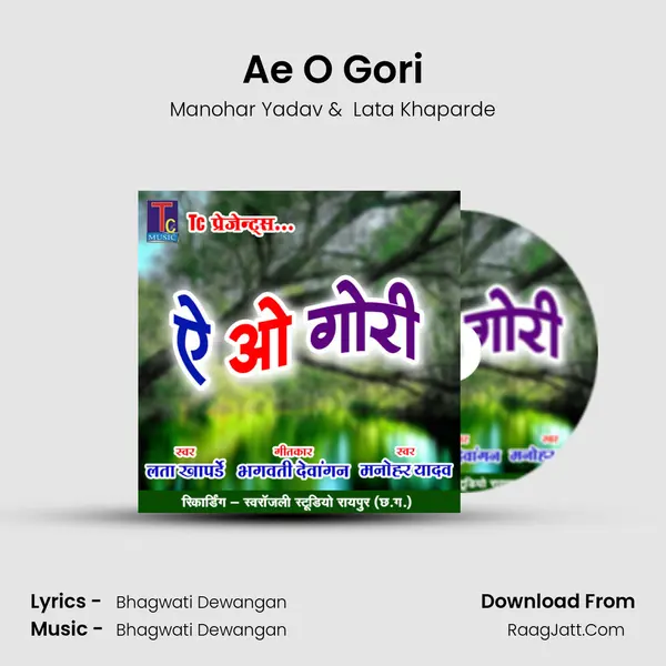 Ae O Gori Cover