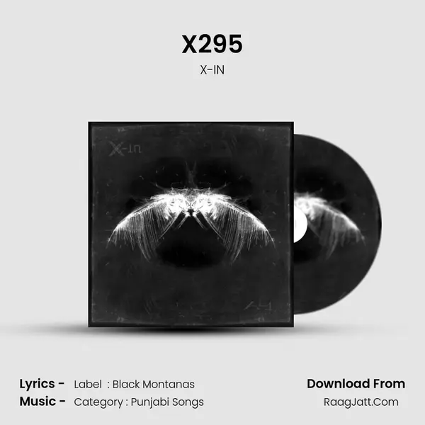 X295 - X-IN