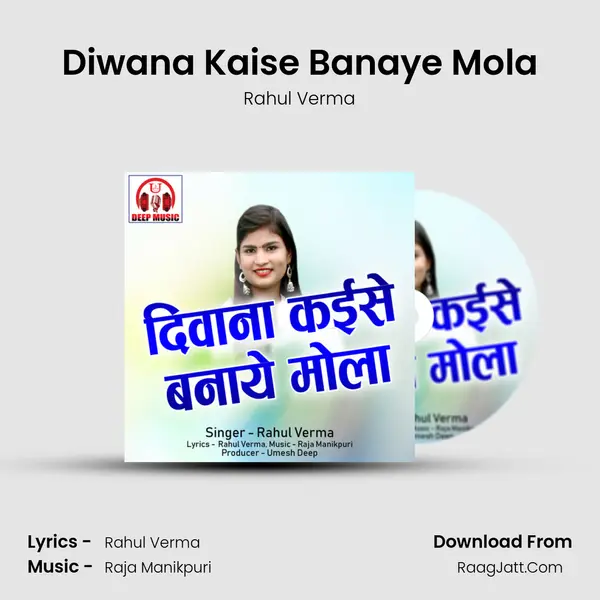 Diwana Kaise Banaye Mola Cover