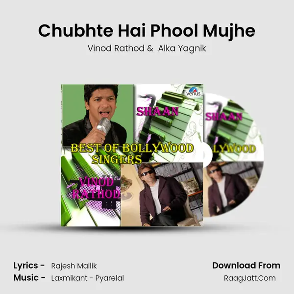Chubhte Hai Phool Mujhe Cover