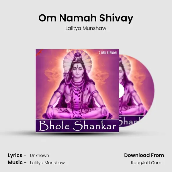 Om Namah Shivay Cover