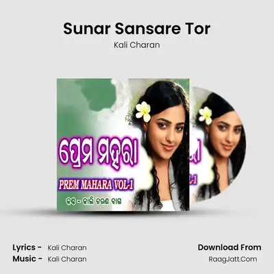 Sunar Sansare Tor MP3 Song by Kali Charan Cover