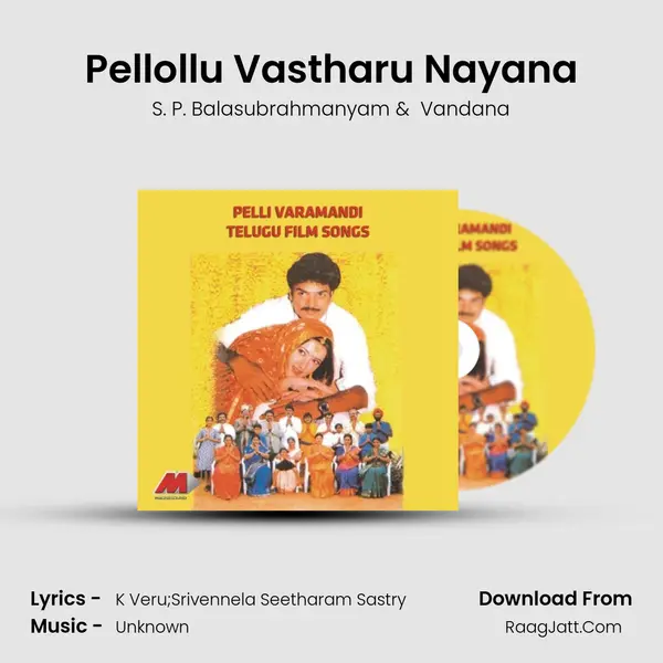 Pellollu Vastharu Nayana MP3 Song by S. P. Balasubrahmanyam Cover
