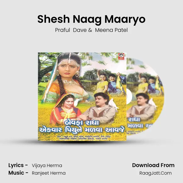 Shesh Naag Maaryo MP3 Song by Praful  Dave Cover